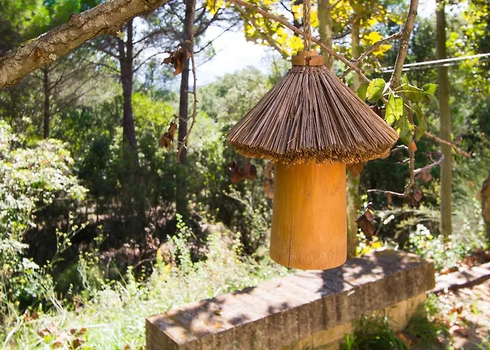 빌라 Catalunya Casas: Spacious Vera Up To 24 Guests, A Short Drive To Blanes! *