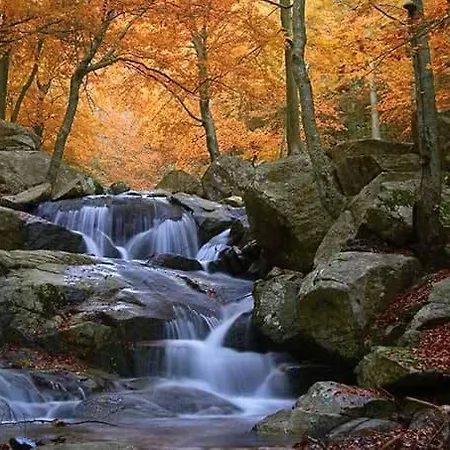 Catalunya Casas: Spacious Vera Up To 24 Guests, A Short Drive To Blanes! Villa Breda